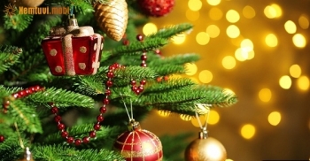 Tử vi tuần mới của 12 cung hoàng đạo từ ngày 24/12 đến 30/12/2018 Tử vi tuần mới của 12 cung hoàng đạo từ ngày 24/12 đến 30/12/2018
