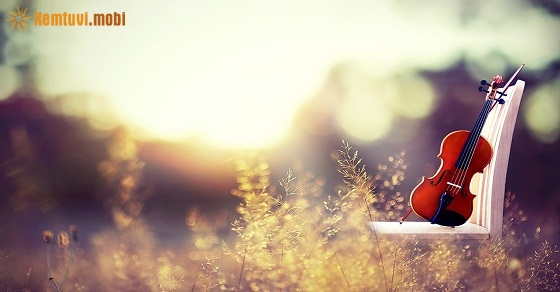 Xem tử vi 12 con giáp ngày 9.12.2018 chủ nhật Xem tử vi 12 con giáp ngày 9.12.2018 chủ nhật