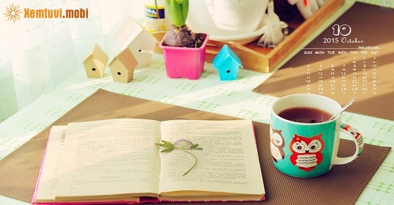 Xem tử vi 12 con giáp ngày 15.12.2018 thứ 7 Xem tử vi 12 con giáp ngày 15.12.2018 thứ 7