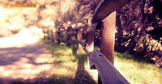 Xem tử vi ngày 26-12-2018 thứ 4 Xem tử vi ngày 26-12-2018 thứ 4