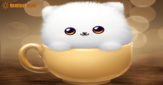 Xem tử vi 12 con giáp ngày 1.1.2019 thứ 3 Xem tử vi 12 con giáp ngày 1.1.2019 thứ 3