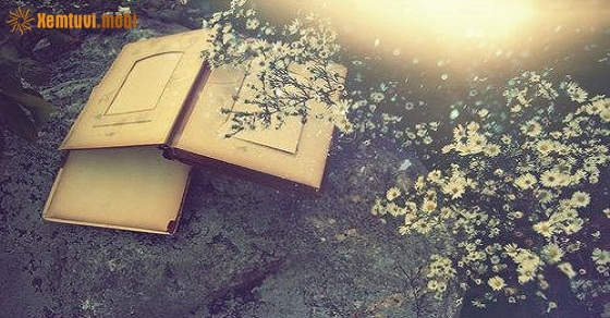 Xem tử vi 12 con giáp ngày 10.12.2018 thứ 2 Xem tử vi 12 con giáp ngày 10.12.2018 thứ 2