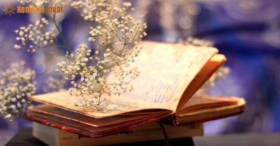 Xem tử vi ngày 30-12-2018 chủ nhật Xem tử vi ngày 30-12-2018 chủ nhật