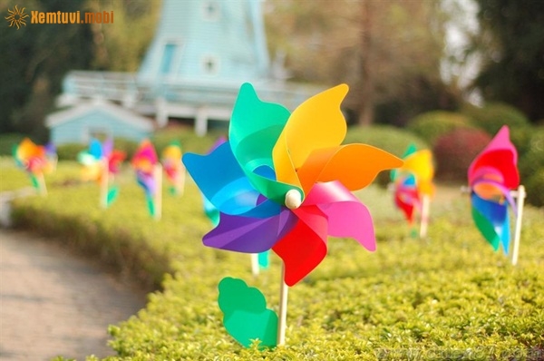 Tử vi thứ 3 của 12 con giáp ngày 29/1/2019 Tử vi thứ 3 của 12 con giáp ngày 29/1/2019