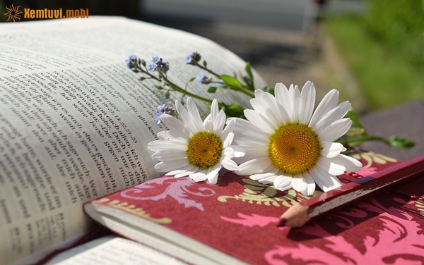 Tử vi thứ 4 của 12 con giáp ngày 30/1/2019 Tử vi thứ 4 của 12 con giáp ngày 30/1/2019