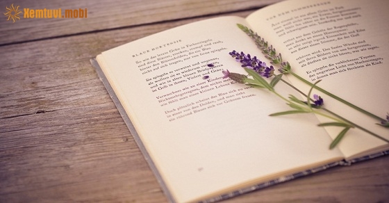 Xem tử vi ngày 10-1-2019 thứ 5 Xem tử vi ngày 10-1-2019 thứ 5