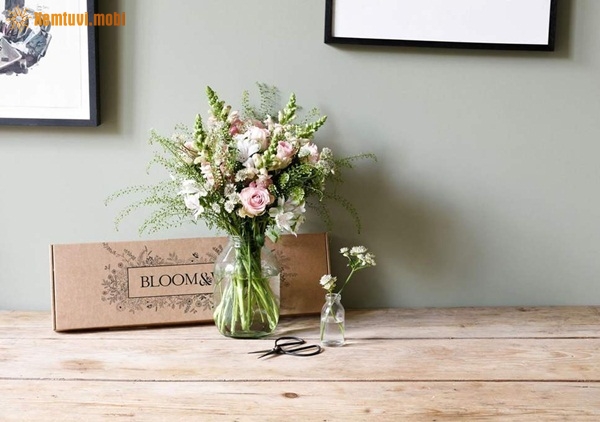 Xem tử vi 12 con giáp ngày 1.2.2019 thứ 6 Xem tử vi 12 con giáp ngày 1.2.2019 thứ 6