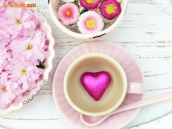 Xem tử vi 12 con giáp ngày 30.1.2019 thứ 4 Xem tử vi 12 con giáp ngày 30.1.2019 thứ 4