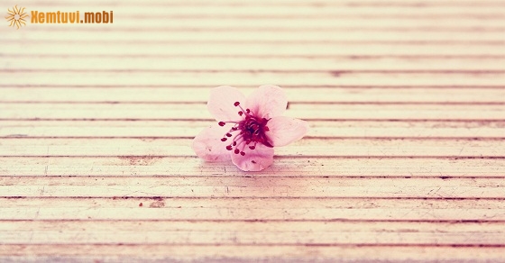 Tử vi thứ bảy của 12 con giáp ngày 12/1/2019