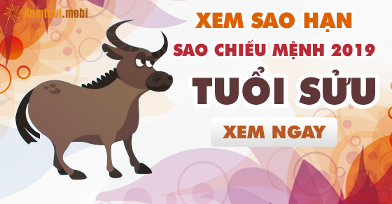 Xem sao hạn cho người tuổi Sửu năm 2019