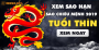 Xem sao hạn, sao chiếu mệnh năm 2019 cho người tuổi Thìn