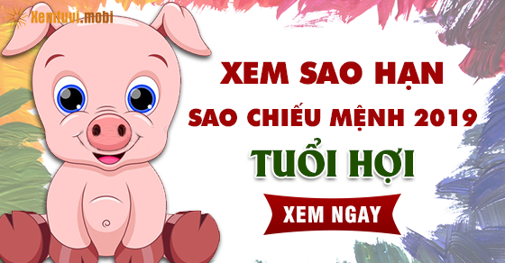 Xem sao hạn cho người tuổi Hợi năm 2019