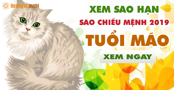 Xem sao hạn cho người tuổi Mão năm 2019