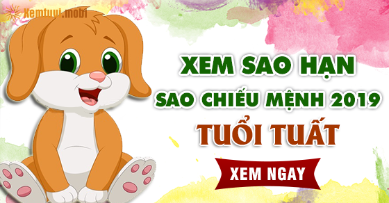 Xem sao hạn cho người tuổi Tuất năm 2019