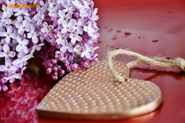 Xem tử vi 12 con giáp ngày 26.1.2019 thứ 7 Xem tử vi 12 con giáp ngày 26.1.2019 thứ 7