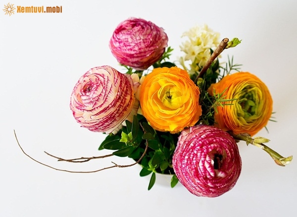 Tử vi chủ nhật của 12 con giáp ngày 10/2/2019 Tử vi chủ nhật của 12 con giáp ngày 10/2/2019