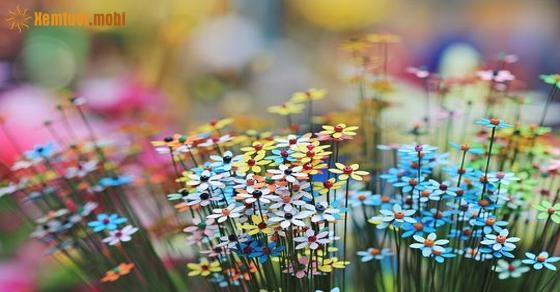 Xem tử vi ngày 9-1-2019 thứ 4 Xem tử vi ngày 9-1-2019 thứ 4