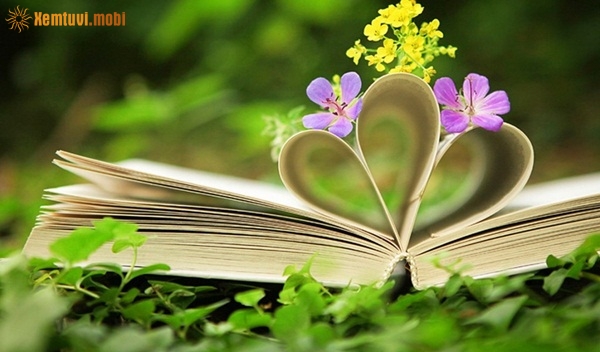 Tử vi thứ 7 của 12 con giáp ngày 2/2/2019 Tử vi thứ 7 của 12 con giáp ngày 2/2/2019