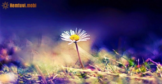 Xem tử vi 12 con giáp ngày 26.2.2019 thứ 3 Xem tử vi 12 con giáp ngày 26.2.2019 thứ 3