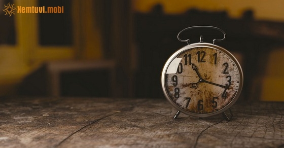 Xem tử vi ngày 21-3-2019 thứ 5 Xem tử vi ngày 21-3-2019 thứ 5