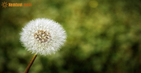 Tử vi thứ bảy của 12 con giáp ngày 16/3/2019 Tử vi thứ bảy của 12 con giáp ngày 16/3/2019