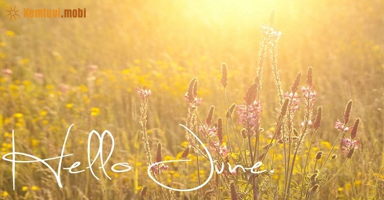 Xem tử vi ngày 16-3-2019 thứ 7 Xem tử vi ngày 16-3-2019 thứ 7