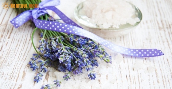 Xem tử vi 12 con giáp ngày 8.3.2019 thứ 6 Xem tử vi 12 con giáp ngày 8.3.2019 thứ 6