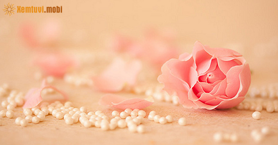 Xem tử vi 12 con giáp ngày 6.3.2019 thứ 4 Xem tử vi 12 con giáp ngày 6.3.2019 thứ 4