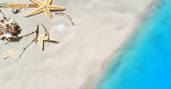 Tử vi thứ sáu của 12 con giáp ngày 22/3/2019 Tử vi thứ sáu của 12 con giáp ngày 22/3/2019