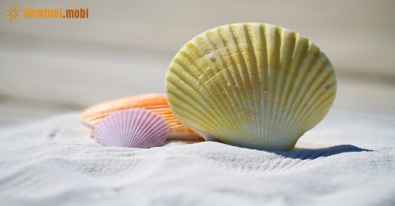 Xem tử vi 12 con giáp ngày 17.3.2019 chủ nhật Xem tử vi 12 con giáp ngày 17.3.2019 chủ nhật