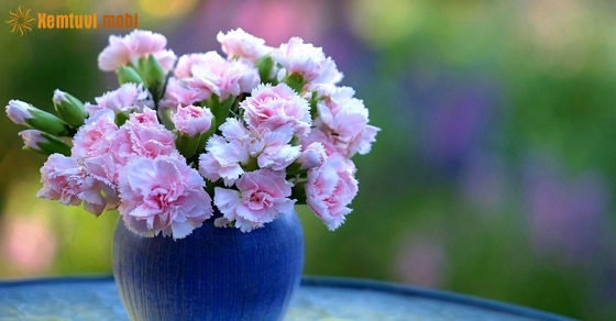 Tử vi thứ ba của 12 con giáp ngày 9/4/2019 Tử vi thứ ba của 12 con giáp ngày 9/4/2019