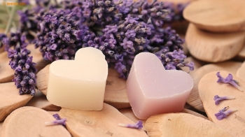 Xem bói tử vi thứ 5 ngày 11/4/2019 của 12 cung hoàng đạo Xem bói tử vi thứ 5 ngày 11/4/2019 của 12 cung hoàng đạo