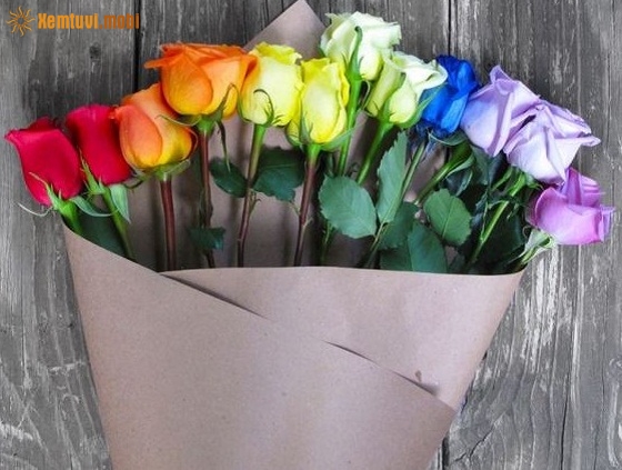 Tử vi thứ tư của 12 con giáp ngày 17/4/2019 Tử vi thứ tư của 12 con giáp ngày 17/4/2019