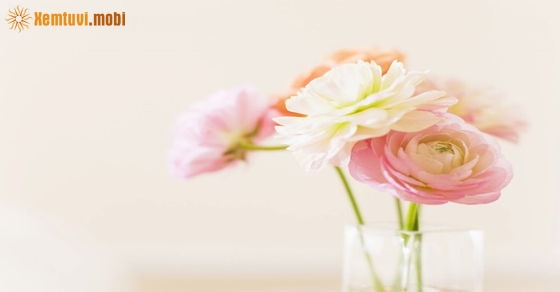 Xem tử vi 12 con giáp ngày 13.4.2019 thứ 7 Xem tử vi 12 con giáp ngày 13.4.2019 thứ 7