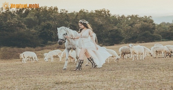 Xem tử vi ngày 8-4-2019 thứ 2 Xem tử vi ngày 8-4-2019 thứ 2