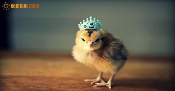 Tử vi thứ ba của 12 con giáp ngày 23/4/2019 Tử vi thứ ba của 12 con giáp ngày 23/4/2019