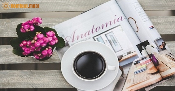 Xem tử vi 12 con giáp ngày 1.6.2019 thứ 7