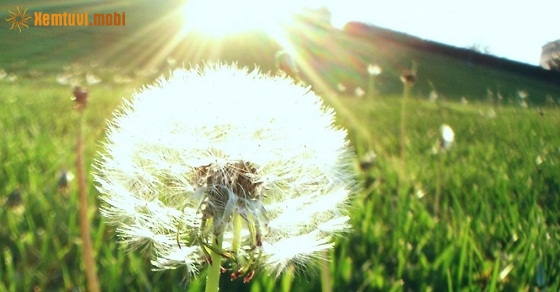 Tử vi thứ hai của 12 con giáp ngày 6/5/2019 Tử vi thứ hai của 12 con giáp ngày 6/5/2019