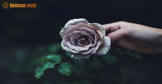 Xem tử vi ngày 11-5-2019 thứ 7