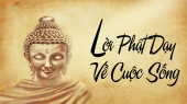 Lời Phật dạy sâu sắc về cuộc sống giúp bạn tìm ra chân lí của cuộc đời