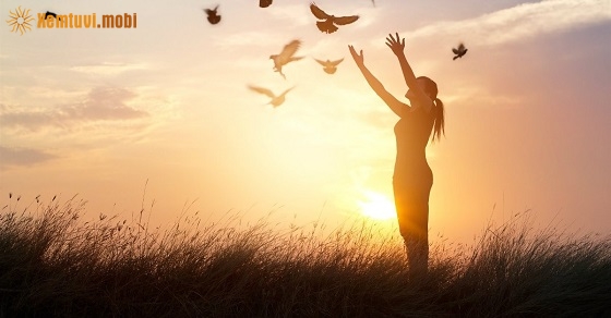 Xem tử vi 12 con giáp ngày 20.6.2019 thứ 5 Xem tử vi 12 con giáp ngày 20.6.2019 thứ 5