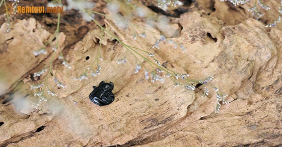 Đá hồ ly làm từ thạch anh đen là dành cho người mệnh Mộc và mệnh Thủy