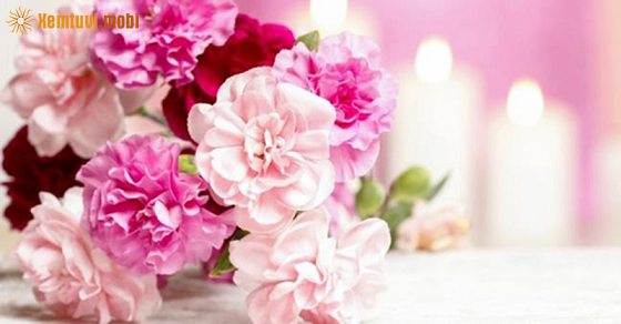 Tử vi thứ bảy của 12 con giáp ngày 15/6/2019