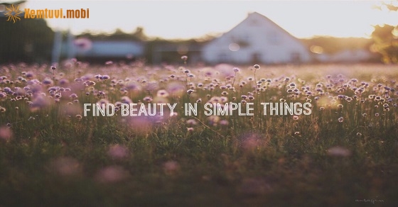 Tử vi thứ hai của 12 con giáp ngày 24/6/2019 Tử vi thứ hai của 12 con giáp ngày 24/6/2019