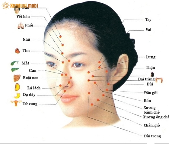 Nhìn khuôn mặt đoán bệnh theo nhân tướng học