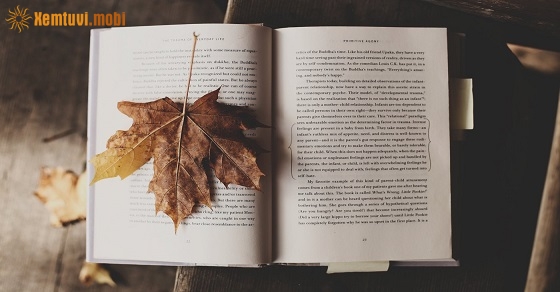 Xem tử vi 12 con giáp ngày 9.7.2019 thứ 3 Xem tử vi 12 con giáp ngày 9.7.2019 thứ 3