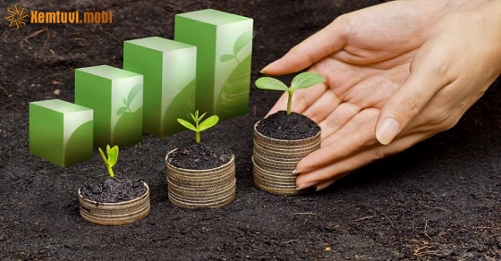 Tử vi thứ năm của 12 con giáp ngày 11/7/2019 Tử vi thứ năm của 12 con giáp ngày 11/7/2019