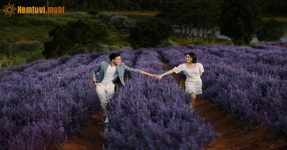 Xem tử vi 12 con giáp ngày 12.8.2019 thứ 2 Xem tử vi 12 con giáp ngày 12.8.2019 thứ 2