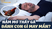 Mơ thấy gà đánh con gì dễ trúng – Giải mã giấc mơ thấy gà chuẩn nhất