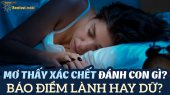 Nằm mơ thấy xác chết đánh con gì? Mơ thấy xác chết là điềm lành hay dữ?